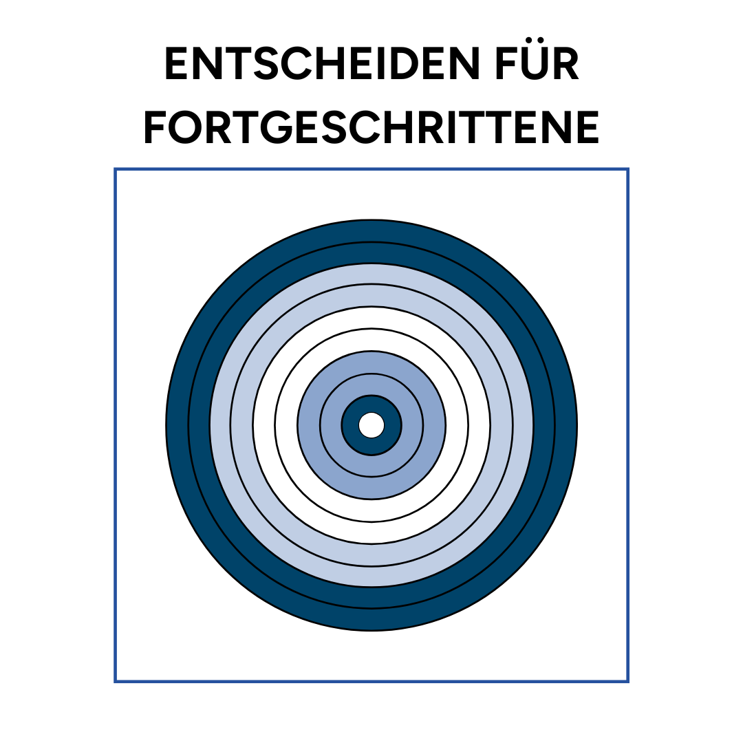 Eine Zielscheibe in Blau-Tönen mit der Überschrift "Entscheiden für Fortgeschrittene"